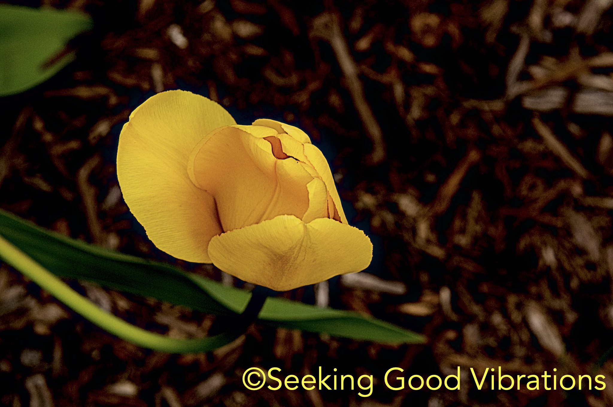 Unfolding